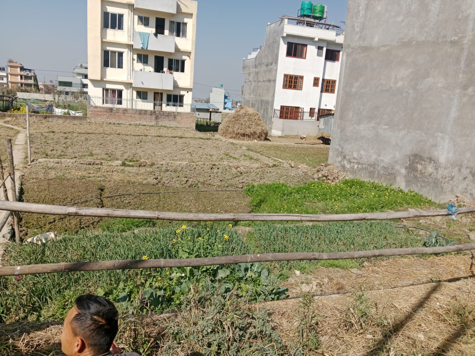 Picture of Mahalaxmi Municipality, Bagmati